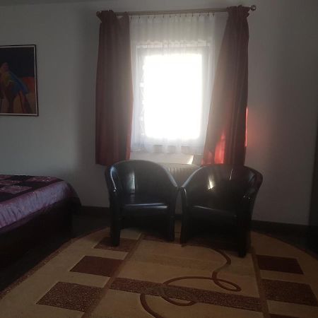 Casa David Bed & Breakfast Rădăuţi Dış mekan fotoğraf