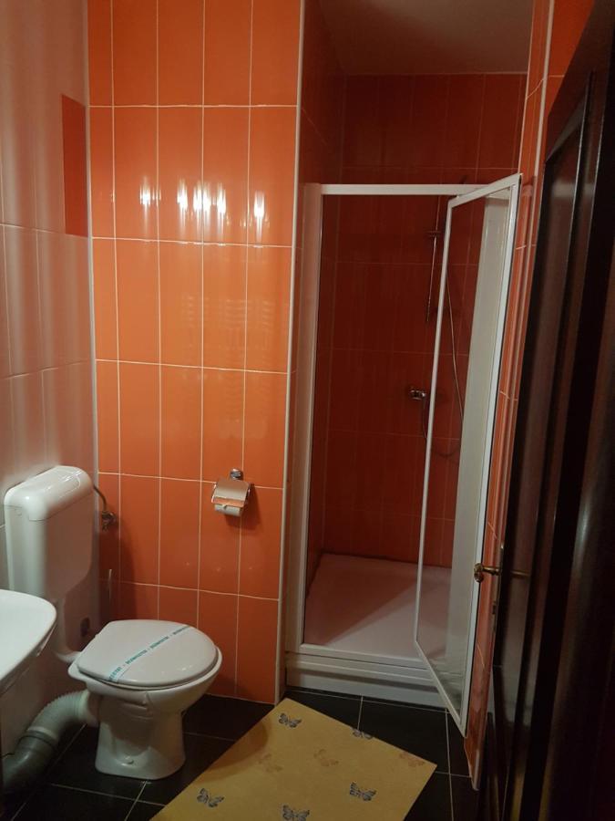 Casa David Bed & Breakfast Rădăuţi Dış mekan fotoğraf